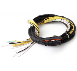 HALTECH HPI8 - High Power Igniter - 15 Amp Eight Channel Flying Lead Loom Only
