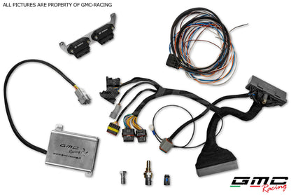 Plug 'n' Play adapter wiring kit for FORD FOCUS RS MK1 for HALTECH Elite 1500 control unit