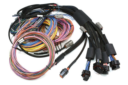 HALTECH NEXUS R5 + KIT DI CABLAGGIO UNIVERSALE - 5M / 16'