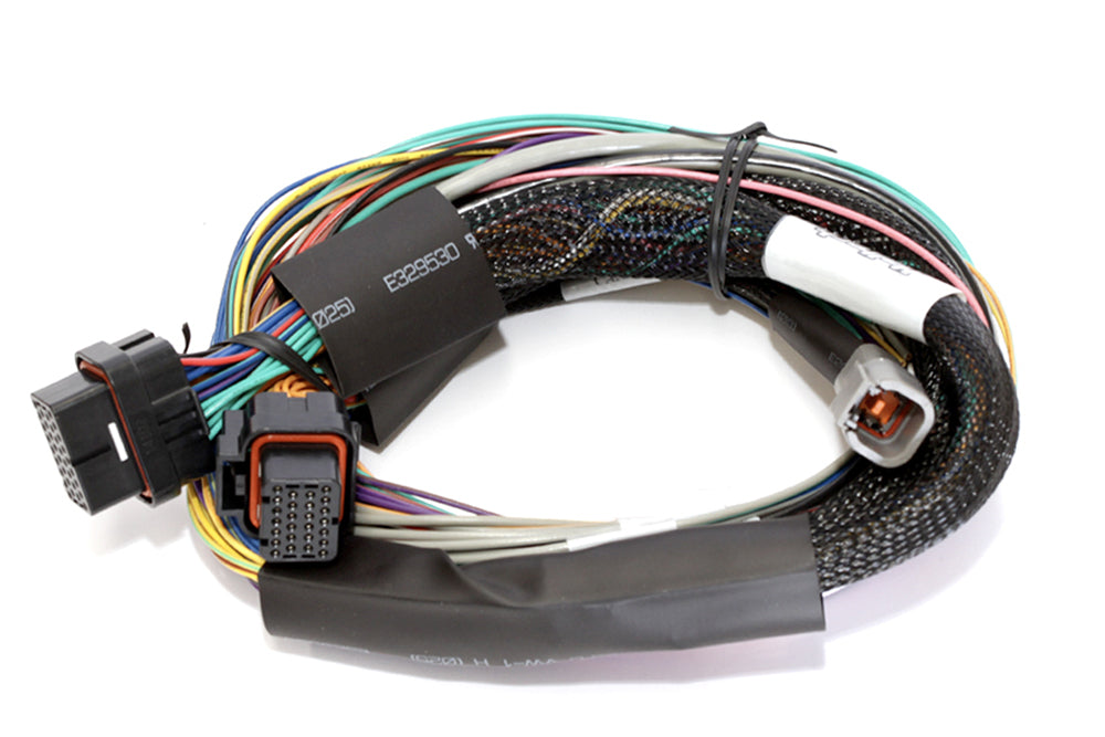 HALTECH Elite 2500 & 2500 T Basic Universal Wiring Harness – GMC RACING