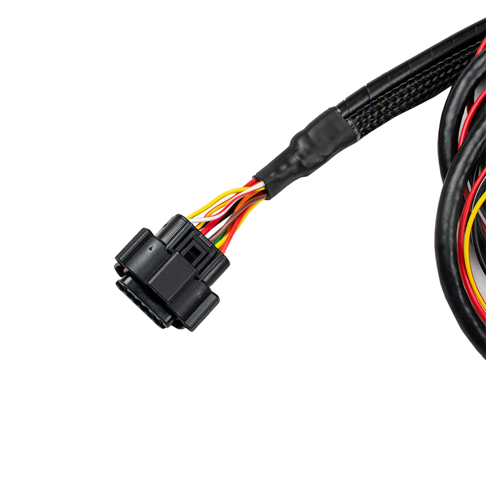 CABLAGGIO NANOPRO WIDEBAND O2 SENSOR CONTROLLER PER SENSORE BOSCH LSU 4.9
