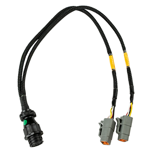 CABLAGGIO ADATTATORE DA EGT-8 A DOPPIO EGT-4