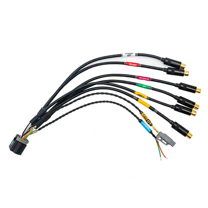 CABLAGGIO MULTIMEDIALE M PER FT700