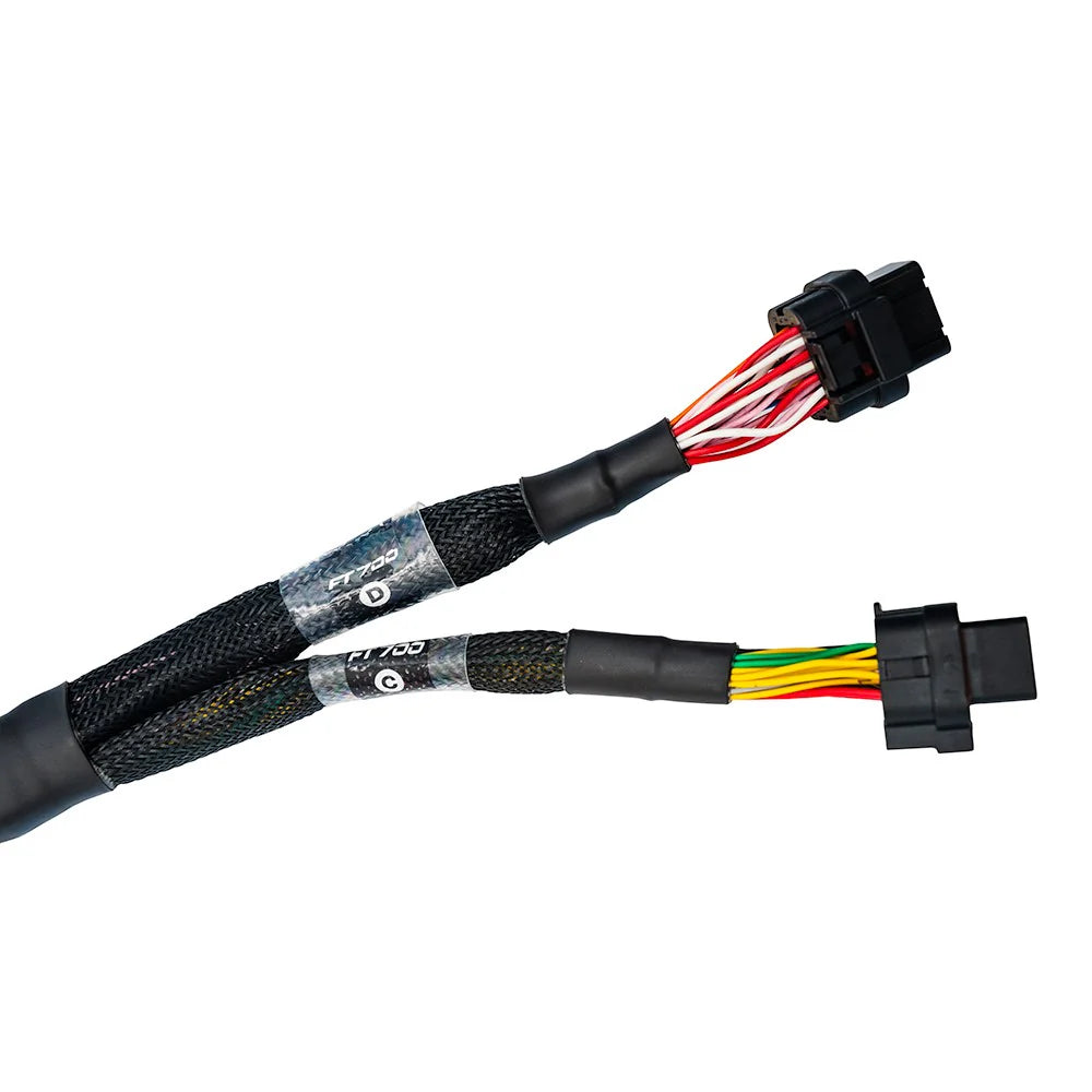 CABLAGGIO CON ESTREMITÀ LIBERE C E D PER FT700