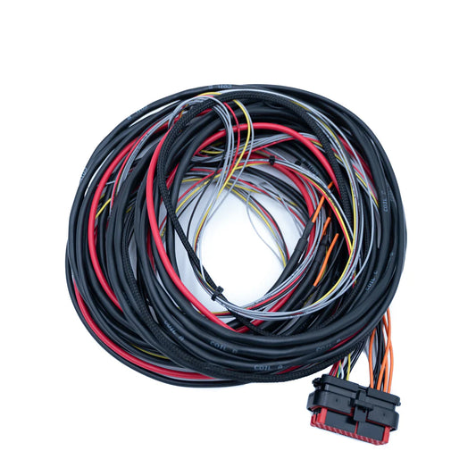 CABLAGGIO FTSPARK-4