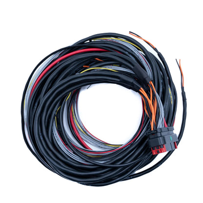 CABLAGGIO FTSPARK-8