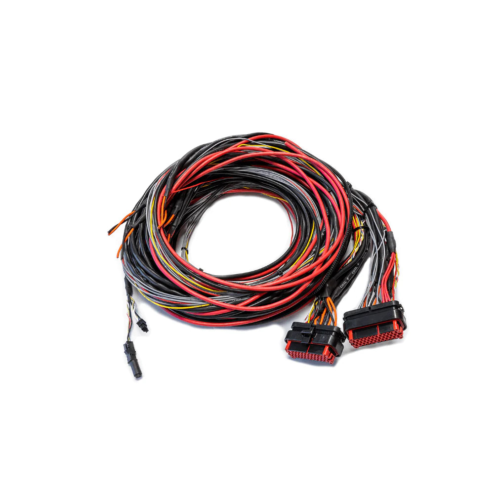 CABLAGGIO FTSPARK EXTREME