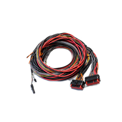CABLAGGIO FTSPARK EXTREME