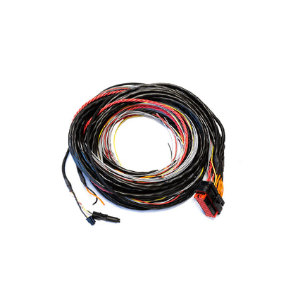 CABLAGGIO FTSPARK EXTREME