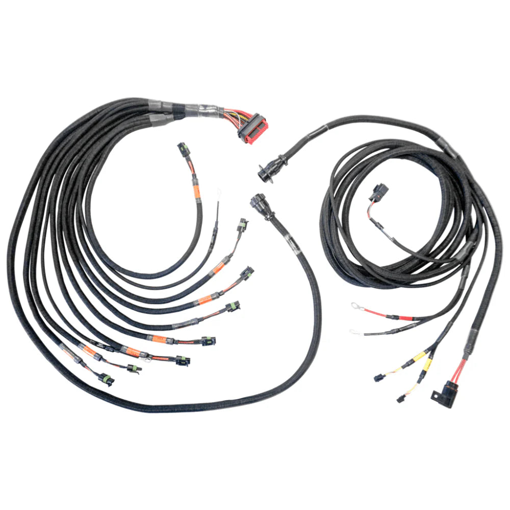CABLAGGIO FTSPARK-8 PRO FT550/FT600