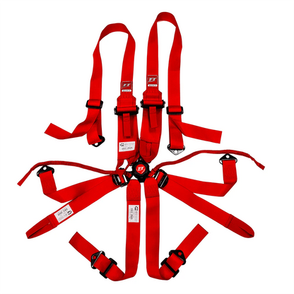CINTURE RACING FT PRO 6 PUNTI CAMLOCK DRAG SFI 2"